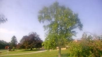 Weather camera view of Monroe Woodbury Computer Center.