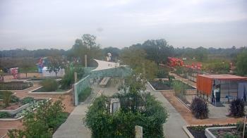 Weather camera view of Houston Botanic Garden.