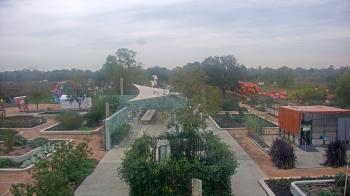 Weather camera view of Houston Botanic Garden.