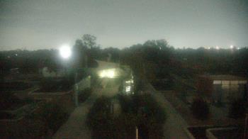 Weather camera view of Houston Botanic Garden.