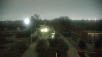 Weather camera view of Houston Botanic Garden.