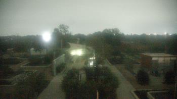 Weather camera view of Houston Botanic Garden.