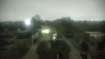 Weather camera view of Houston Botanic Garden.