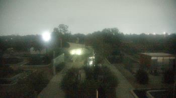 Weather camera view of Houston Botanic Garden.