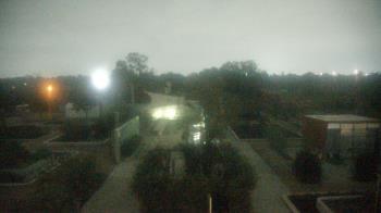 Weather camera view of Houston Botanic Garden.