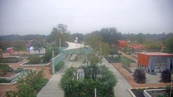 Weather camera view of Houston Botanic Garden.