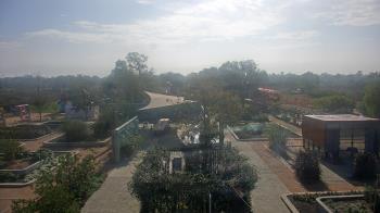 Weather camera view of Houston Botanic Garden.