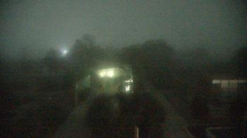 Weather camera view of Houston Botanic Garden.