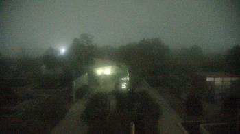 Weather camera view of Houston Botanic Garden.