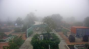 Weather camera view of Houston Botanic Garden.