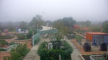 Weather camera view of Houston Botanic Garden.