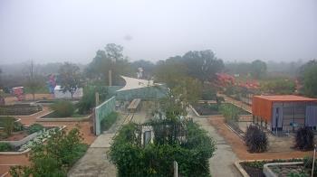 Weather camera view of Houston Botanic Garden.