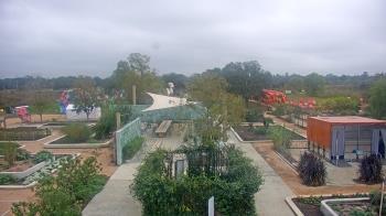Weather camera view of Houston Botanic Garden.