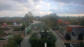 Weather camera view of Houston Botanic Garden.