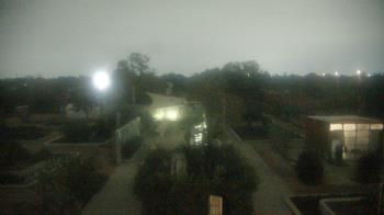 Weather camera view of Houston Botanic Garden.