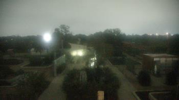 Weather camera view of Houston Botanic Garden.
