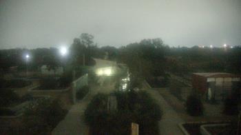 Weather camera view of Houston Botanic Garden.