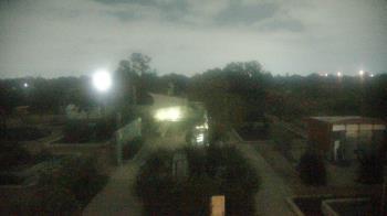 Weather camera view of Houston Botanic Garden.