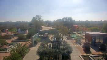 Weather camera view of Houston Botanic Garden.