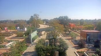 Weather camera view of Houston Botanic Garden.