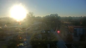 Weather camera view of Houston Botanic Garden.