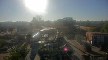 Weather camera view of Houston Botanic Garden.