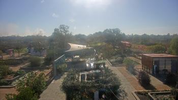 Weather camera view of Houston Botanic Garden.