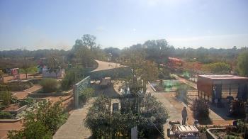 Weather camera view of Houston Botanic Garden.