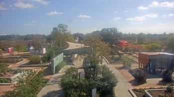 Weather camera view of Houston Botanic Garden.