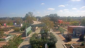 Weather camera view of Houston Botanic Garden.