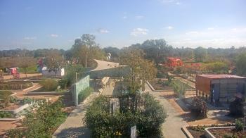 Weather camera view of Houston Botanic Garden.