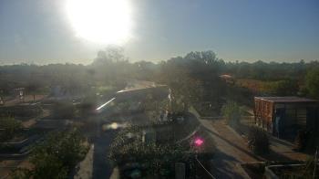 Weather camera view of Houston Botanic Garden.