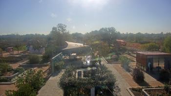 Weather camera view of Houston Botanic Garden.