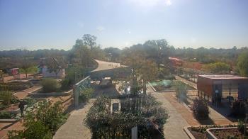 Weather camera view of Houston Botanic Garden.