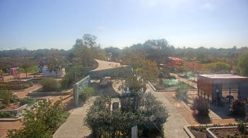 Weather camera view of Houston Botanic Garden.
