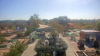 Weather camera view of Houston Botanic Garden.