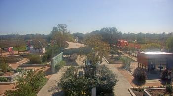 Weather camera view of Houston Botanic Garden.
