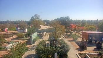 Weather camera view of Houston Botanic Garden.