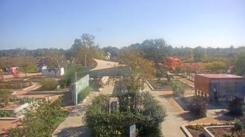 Weather camera view of Houston Botanic Garden.