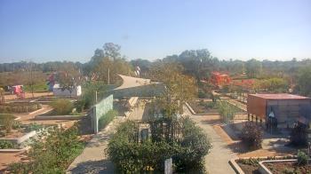 Weather camera view of Houston Botanic Garden.