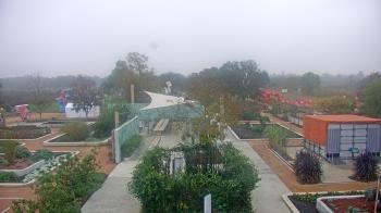 Weather camera view of Houston Botanic Garden.