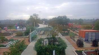 Weather camera view of Houston Botanic Garden.