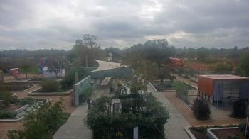 Weather camera view of Houston Botanic Garden.