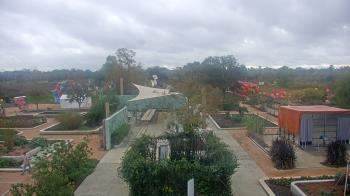Weather camera view of Houston Botanic Garden.
