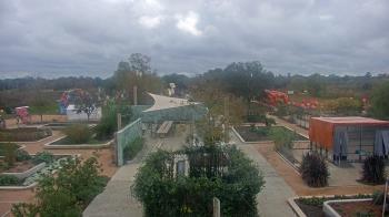 Weather camera view of Houston Botanic Garden.