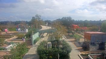 Weather camera view of Houston Botanic Garden.