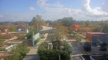 Weather camera view of Houston Botanic Garden.