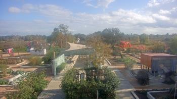 Weather camera view of Houston Botanic Garden.