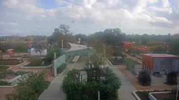 Weather camera view of Houston Botanic Garden.