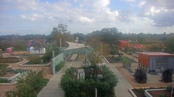 Weather camera view of Houston Botanic Garden.